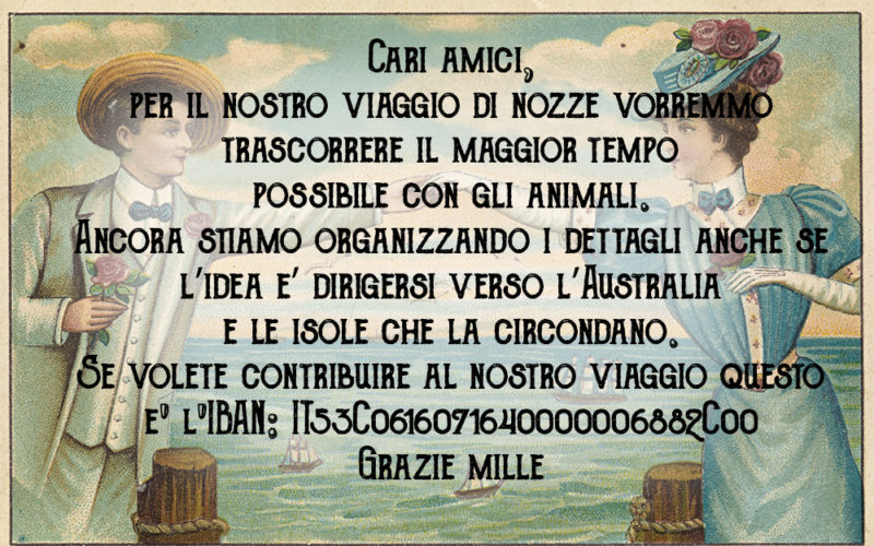 https://www.elenaenico.it/wp-content/uploads/2018/05/viaggio-di-nozze2-800x500.jpg